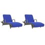 Voir la diapositive 4 : VIDAXL Serviettes de plage 2 pcs bleu royal 75x200 cm tissu 400 GSM
