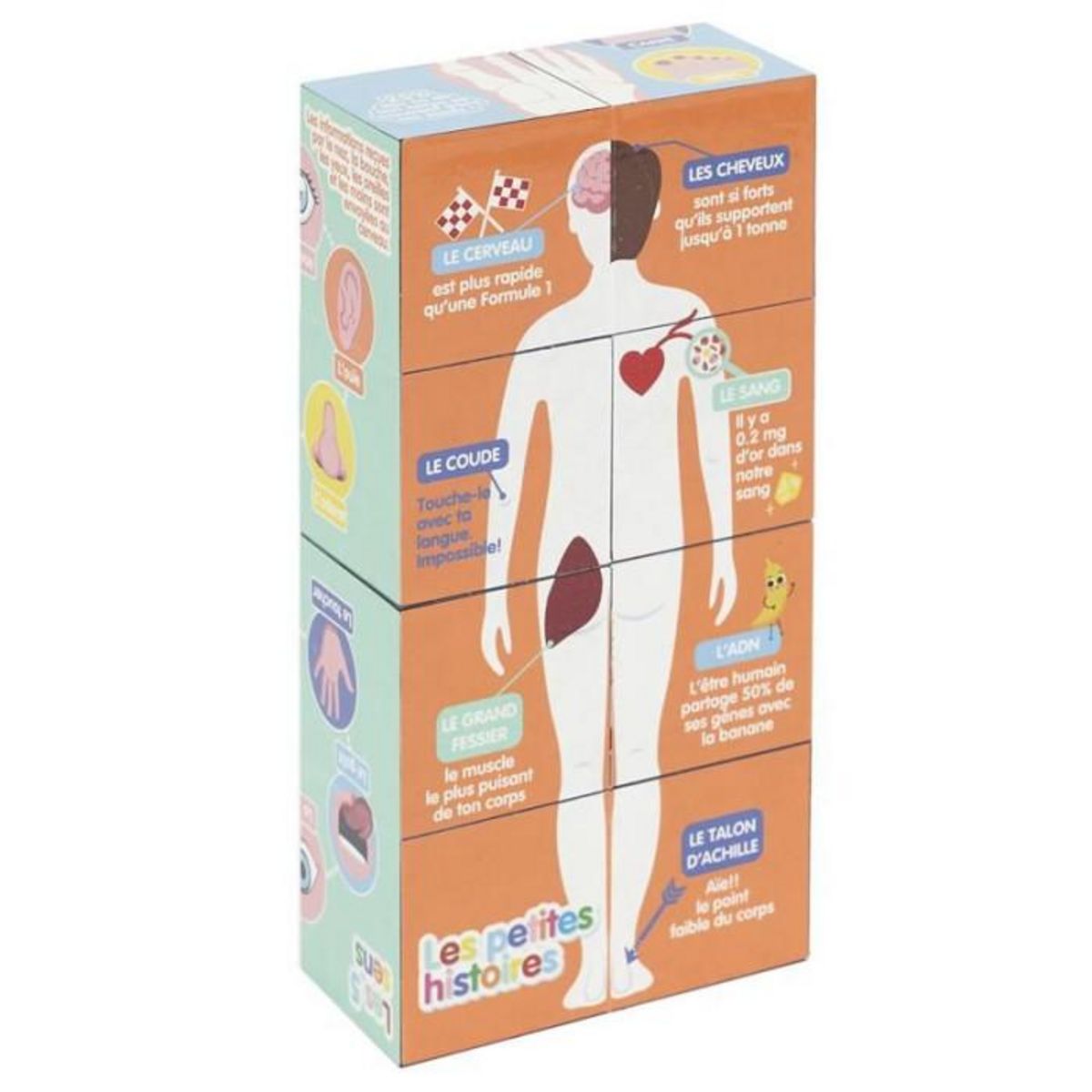 Paris Prix Cube Educatif  Corps Humain  7cm Multicolore