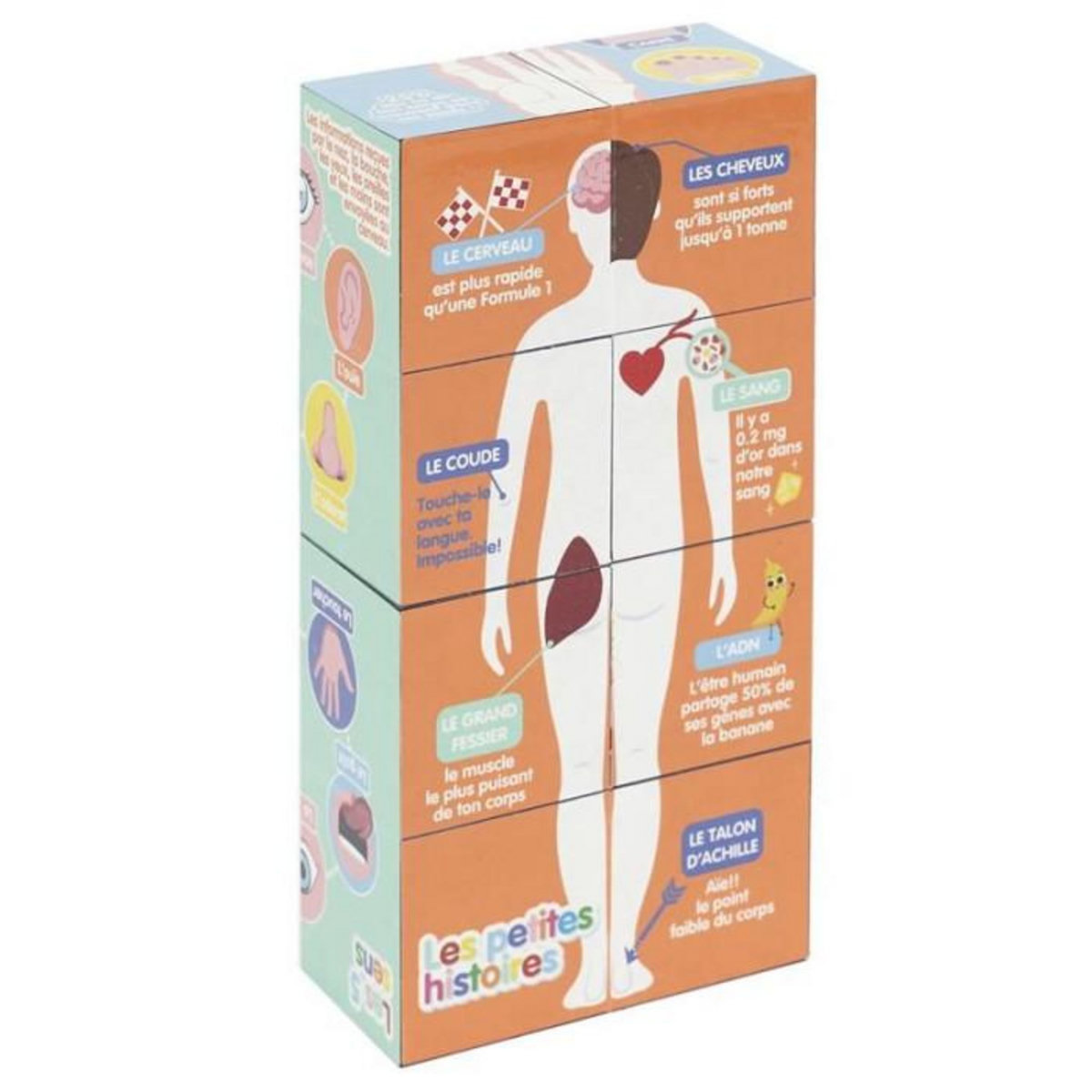 Paris Prix Cube Educatif  Corps Humain  7cm Multicolore
