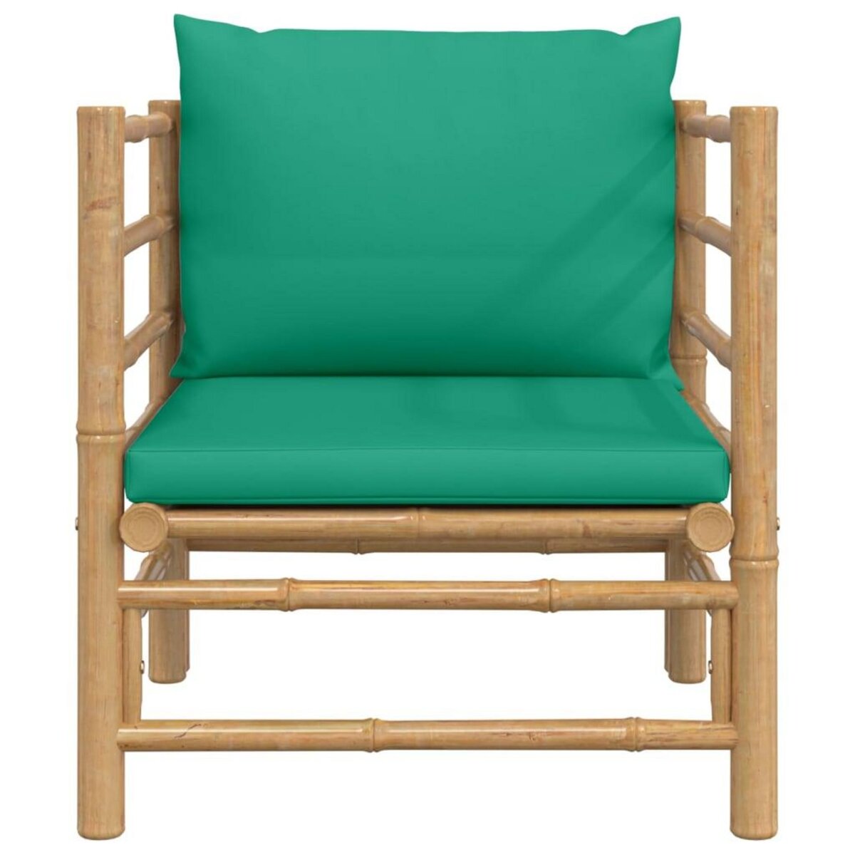 VIDAXL Canape de jardin avec coussins vert bambou