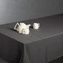 Voir la diapositive 3 : ATMOSPHERA Nappe Antitache  Unie  150x300cm Ardoise