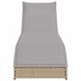 Voir la diapositive 5 : VIDAXL Chaise longue pliante coussin et rangement beige resine tressee