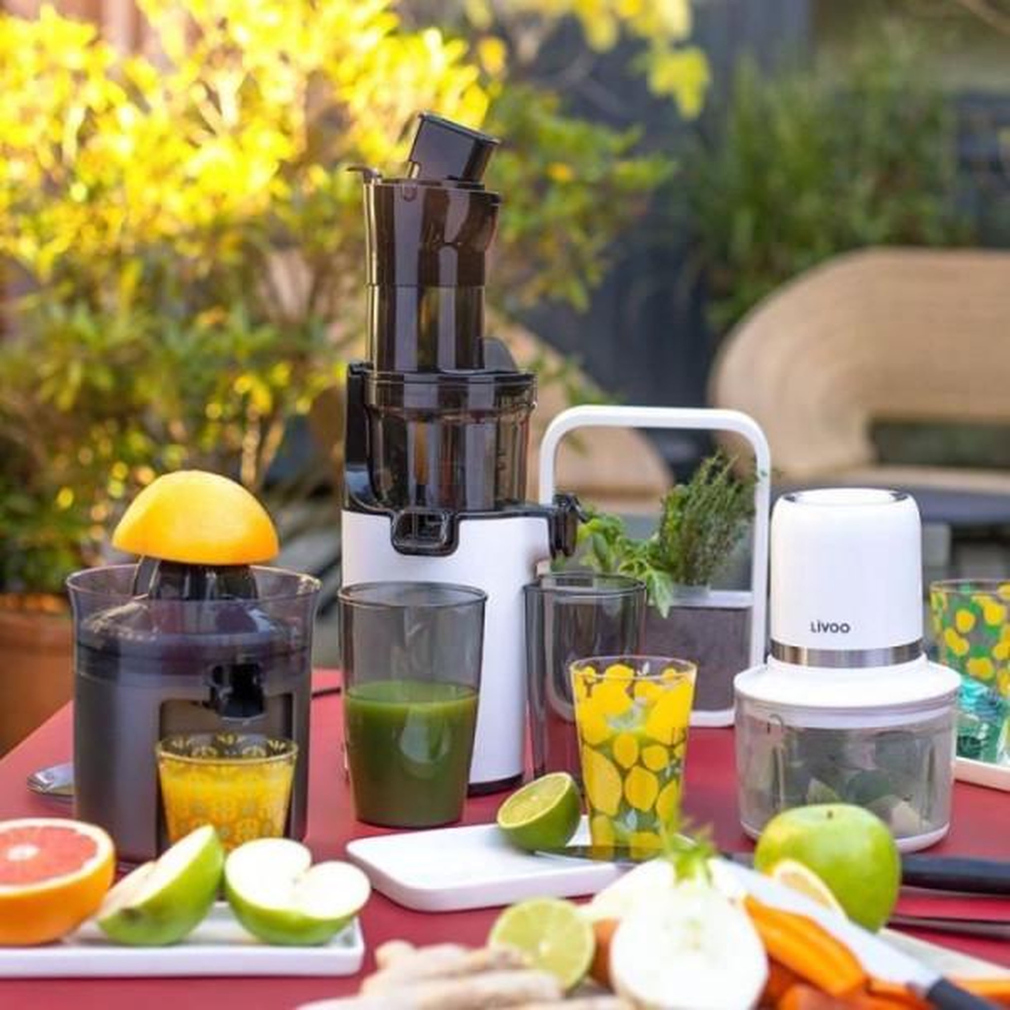 Voir la diapositive 5 : LIVOO Hachoir 1.2l 200w - DOP222