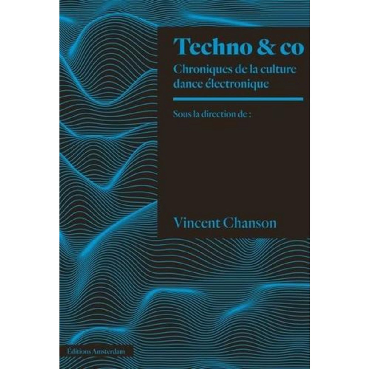TECHNO & CO. CHRONIQUES DE LA SCENE DANCE ELECTRONIQUE, Chanson Vincent