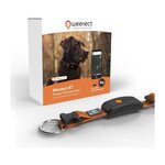 WEENECT Collier GPS pour chien - WEENECT Chien XT - Antenne XL - Etanche - Collier Julius-K9 - Fonctionne avec abonnement - Orange