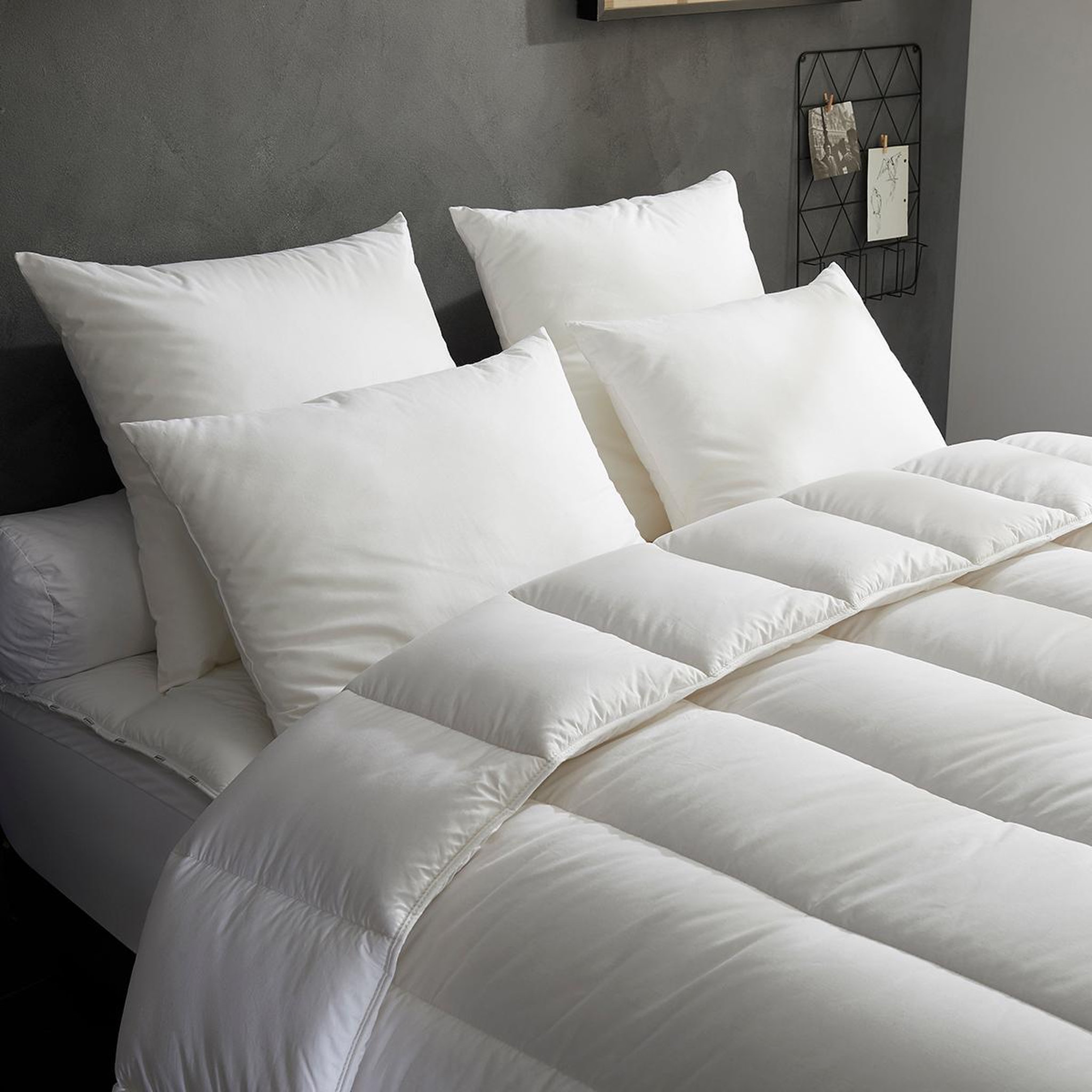 DODO Lot de 2 oreillers top soutien - ferme. Coloris disponibles : Blanc