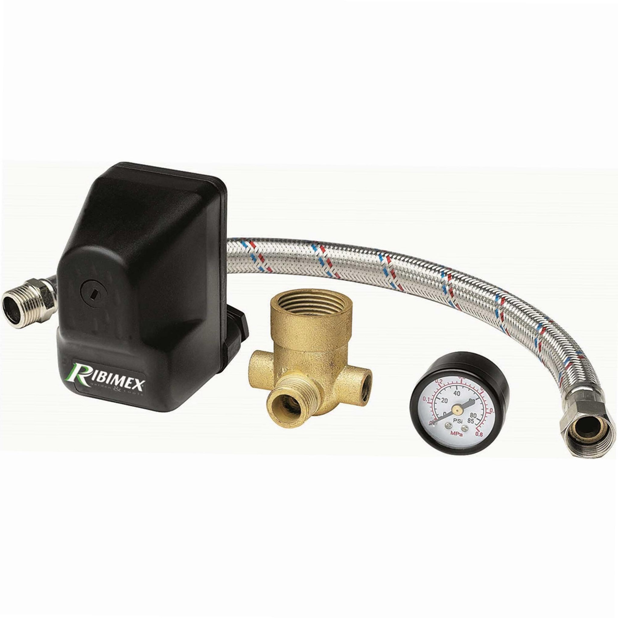 Voir la diapositive 5 : Ribiland Pressostat surpresseur avec mano et flexible