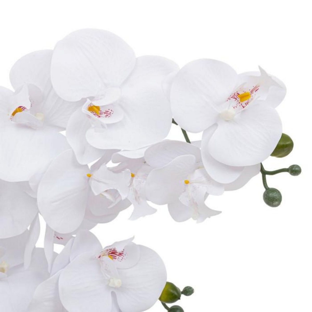 ATMOSPHERA Orchidée Artificielle en Pot  Riva  60cm Blanc