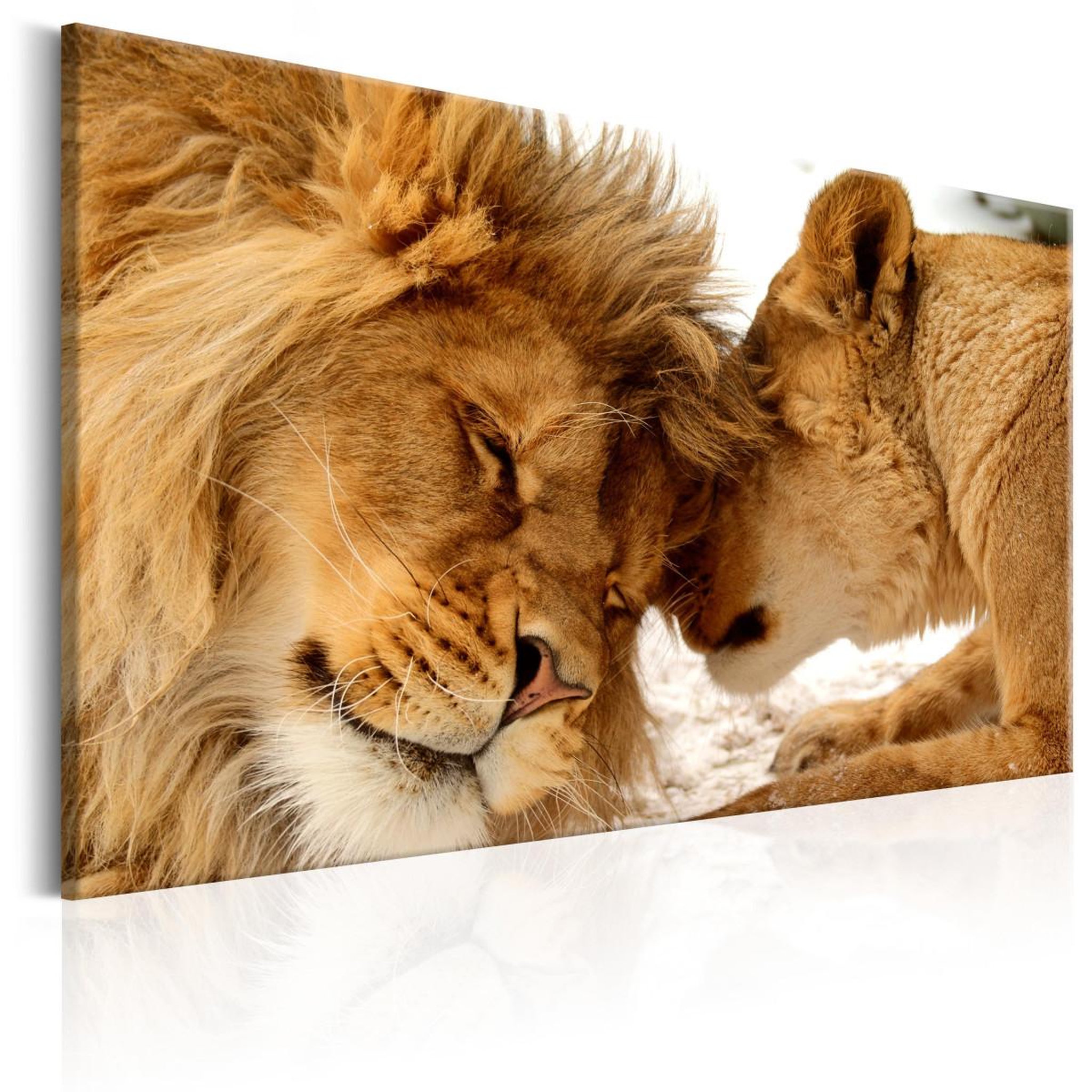 Paris Prix Tableau imprimé  love's secret. Coloris disponibles : Multicolore