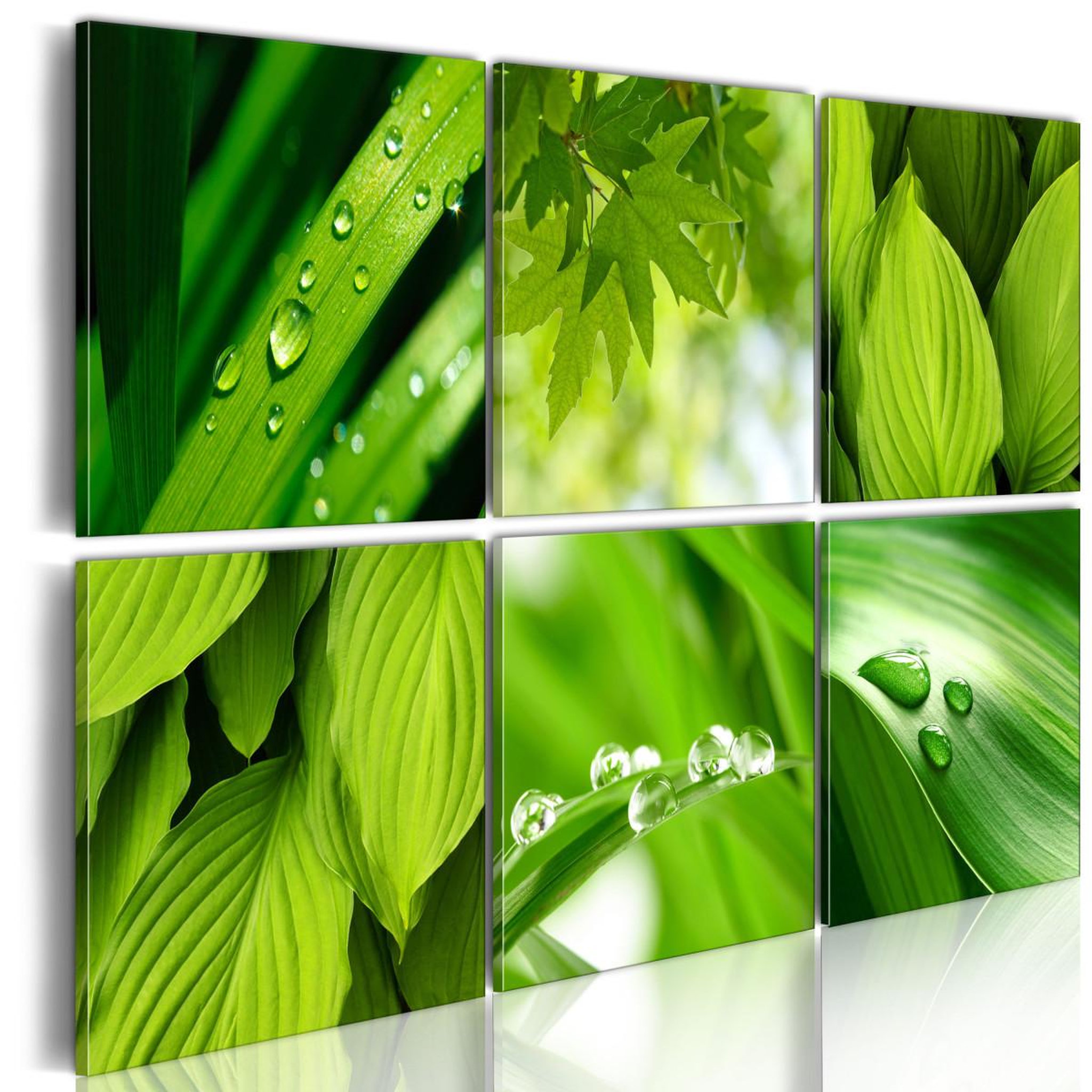 Paris Prix Tableau imprimé  feuilles vertes fraîches. Coloris disponibles : Multicolore