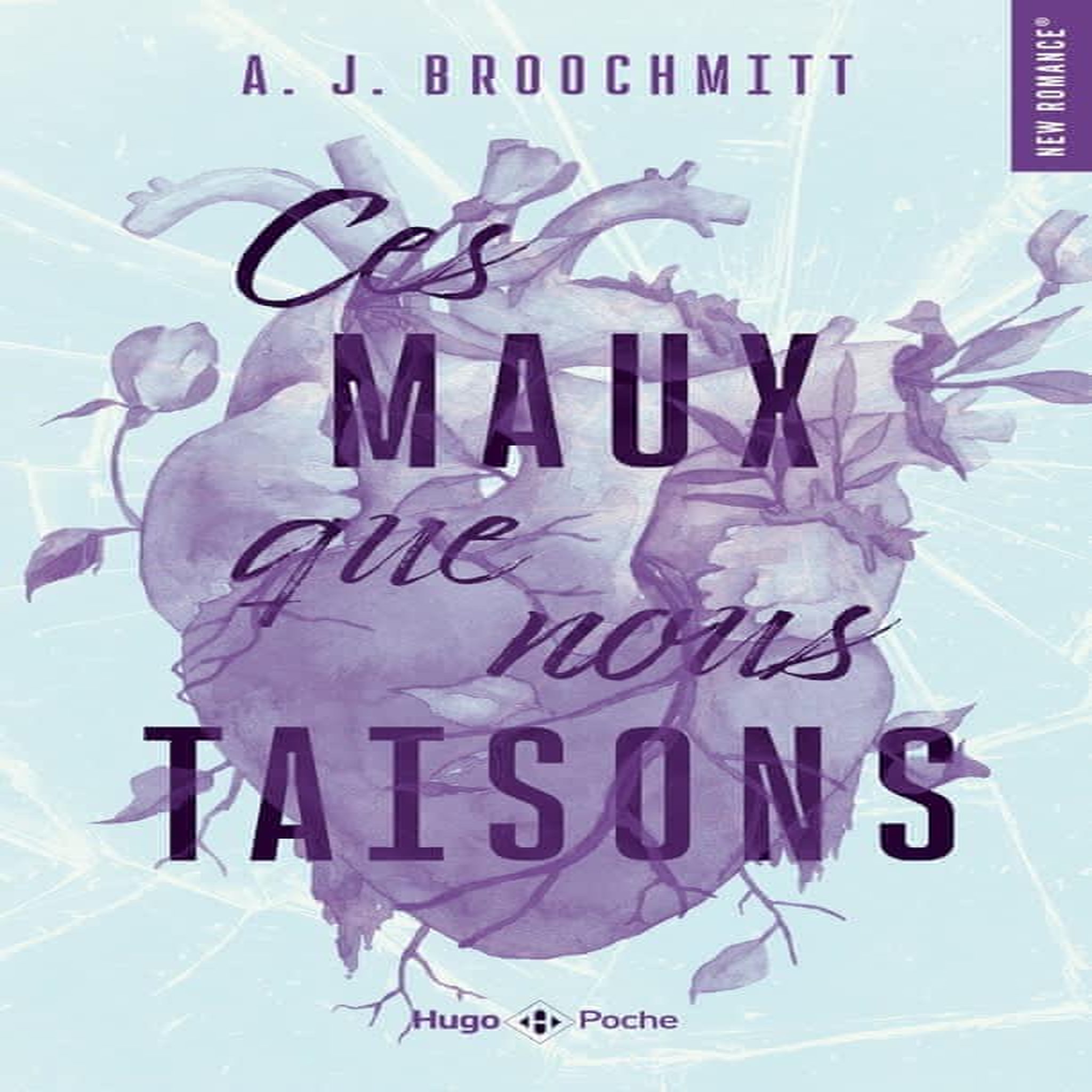 CES MAUX QUE NOUS TAISONS, Broochmitt A.J.