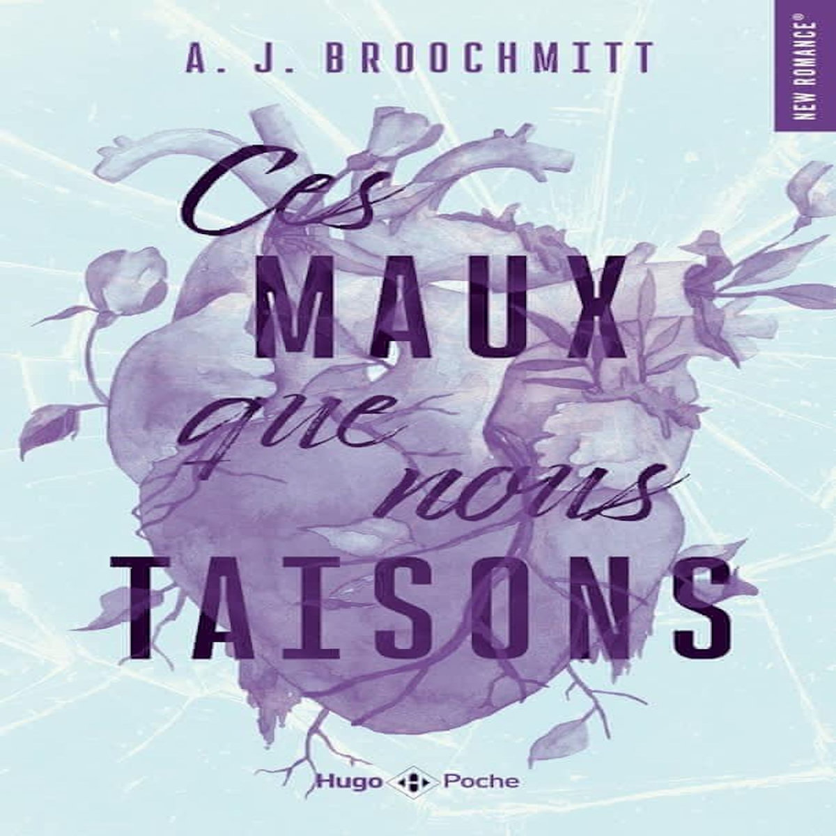 CES MAUX QUE NOUS TAISONS, Broochmitt A.J.
