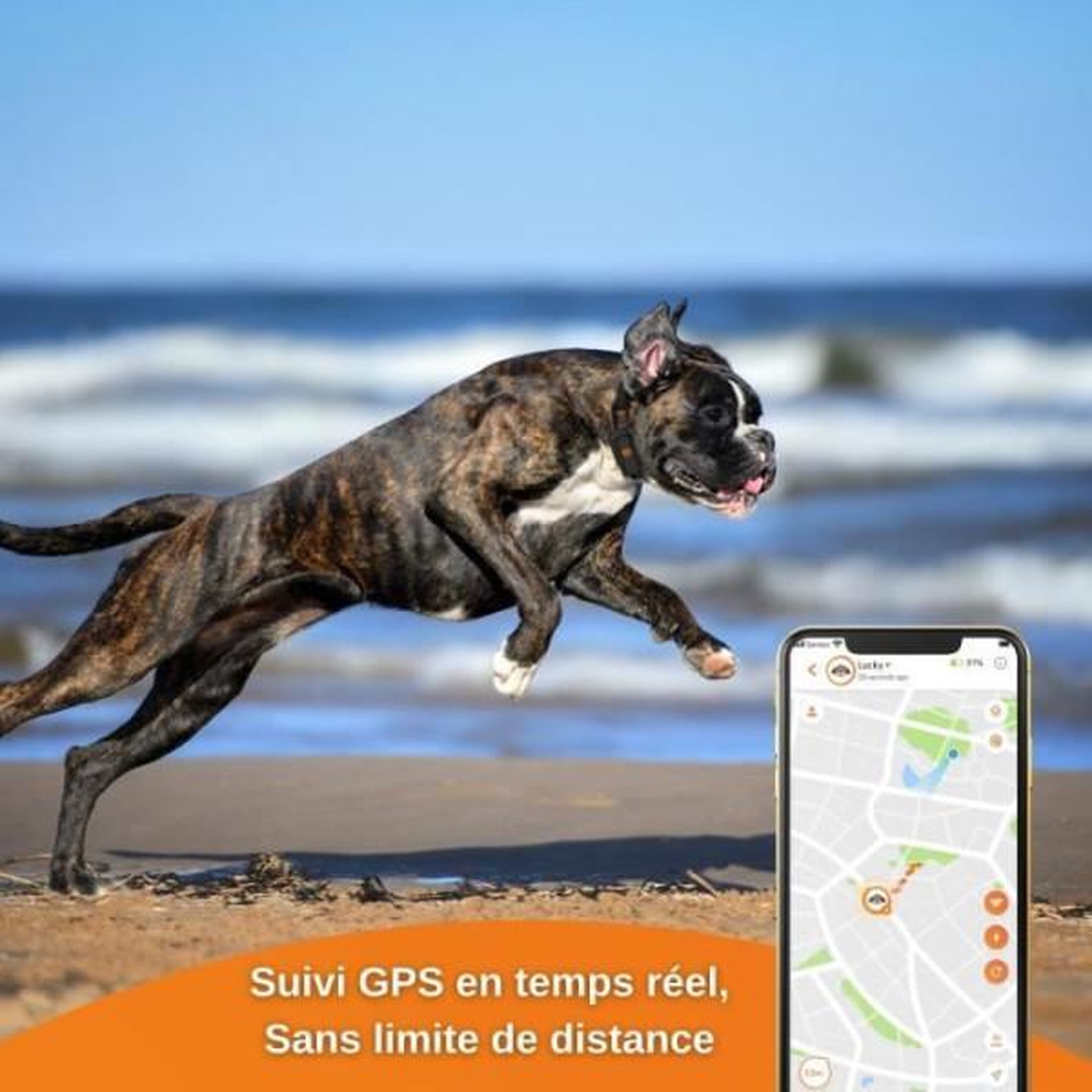 Voir la diapositive 5 : WEENECT Traceur GPS pour Chien - Weenect XS (Black Edition 2023)