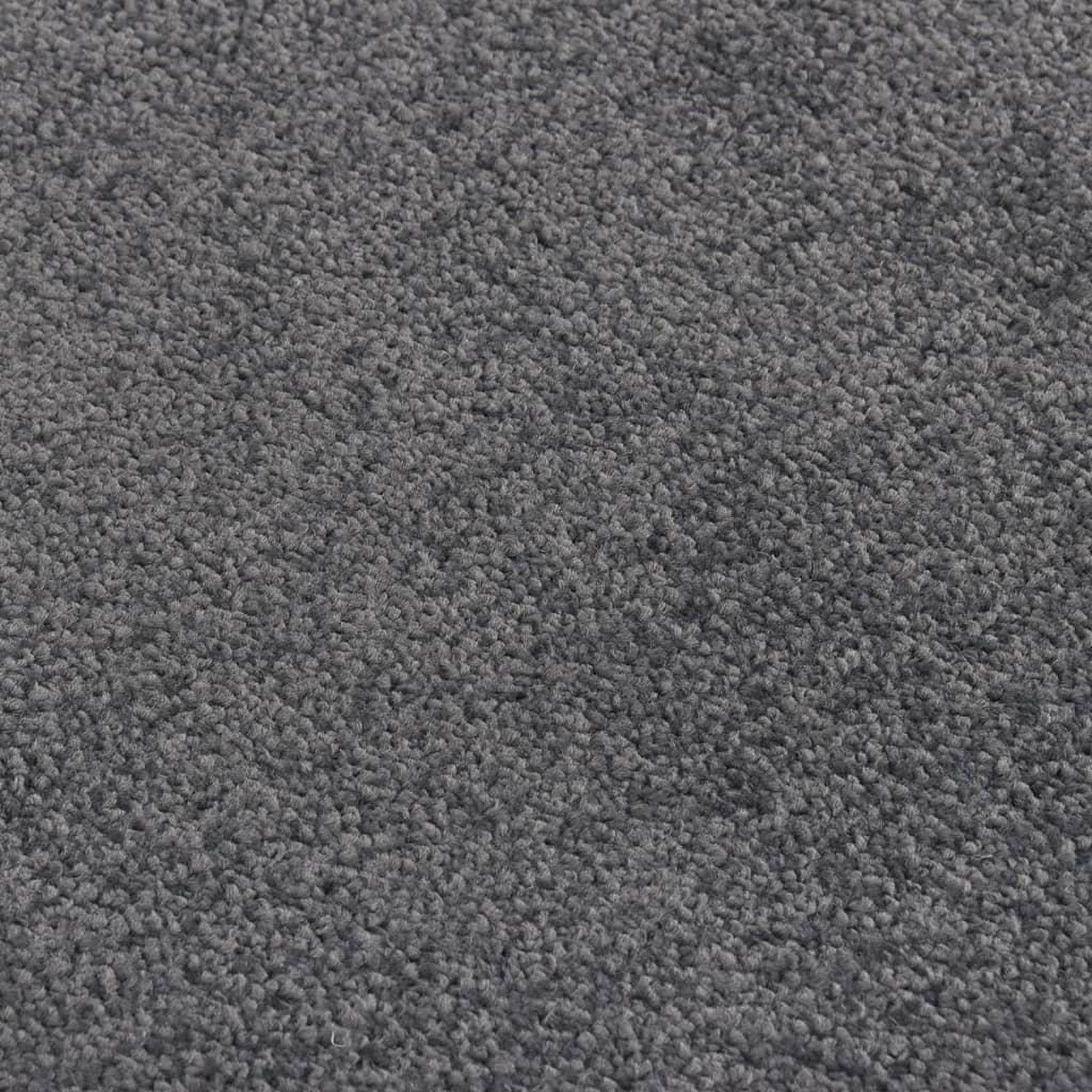 Voir la diapositive 5 : VIDAXL Paillasson Anthracite 80x120 cm