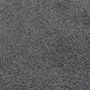 Voir la diapositive 5 : VIDAXL Paillasson Anthracite 80x120 cm