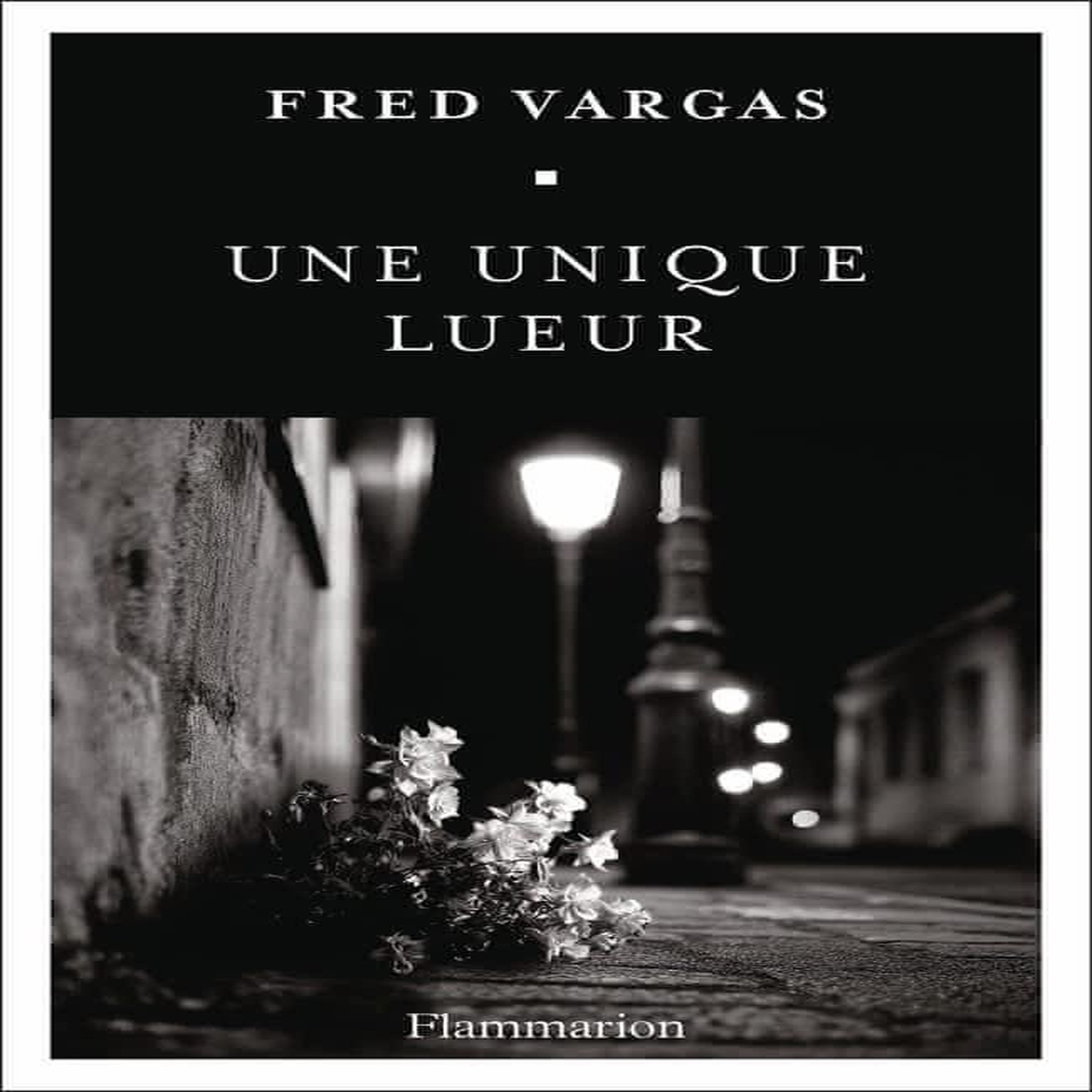 UNE UNIQUE LUEUR, Vargas Fred
