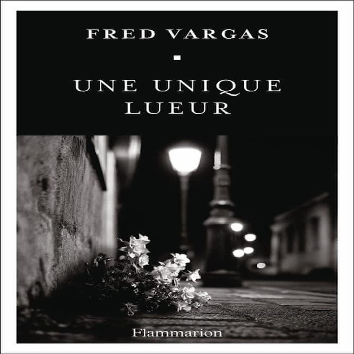 UNE UNIQUE LUEUR, Vargas Fred