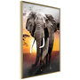 Voir la diapositive 1 : Paris Prix Affiche Murale Encadrée  Majestic Elephant