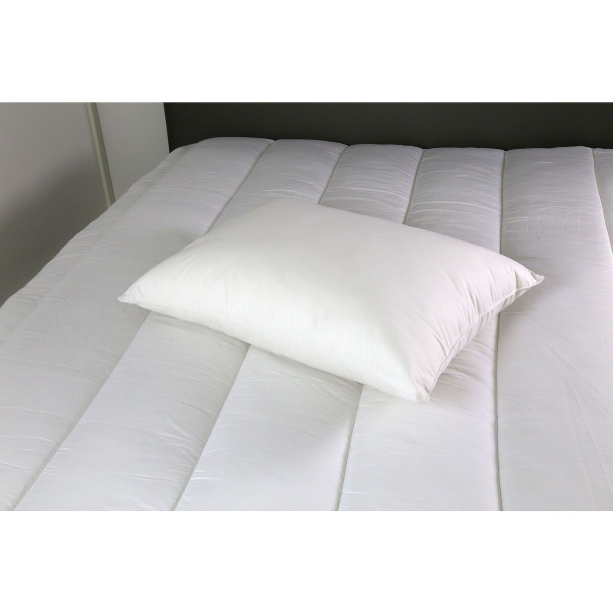 ACTUEL Oreiller moelleux enveloppe 100% coton