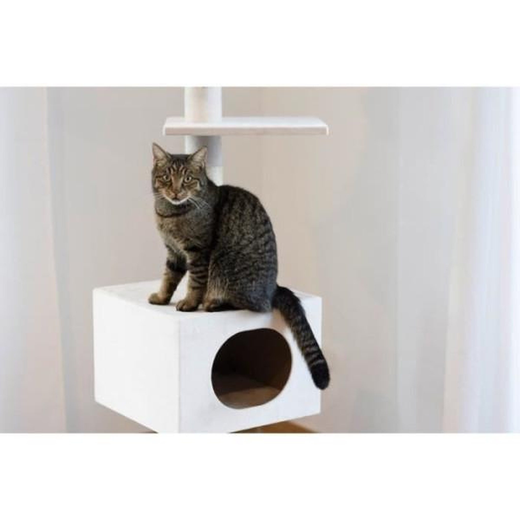 Voir la diapositive 5 : KERBL KERBL - Arbre a chat FERDI - 38 x 38 x 240 a 260 cm - Blanc - Sisal