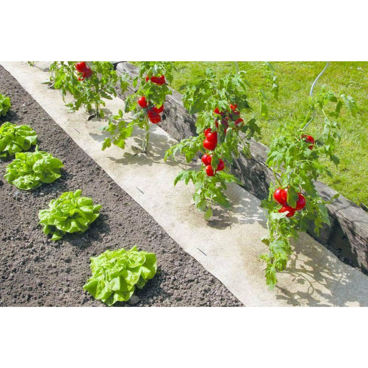 Nortene Paillage naturel 50 x 300 cm - pour jardin et potager 100% biodégradable - 500 g/m2