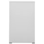 Voir la diapositive 4 : VIDAXL Classeur Gris clair 46x62x102,5 cm Acier