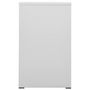 Voir la diapositive 4 : VIDAXL Classeur Gris clair 46x62x102,5 cm Acier