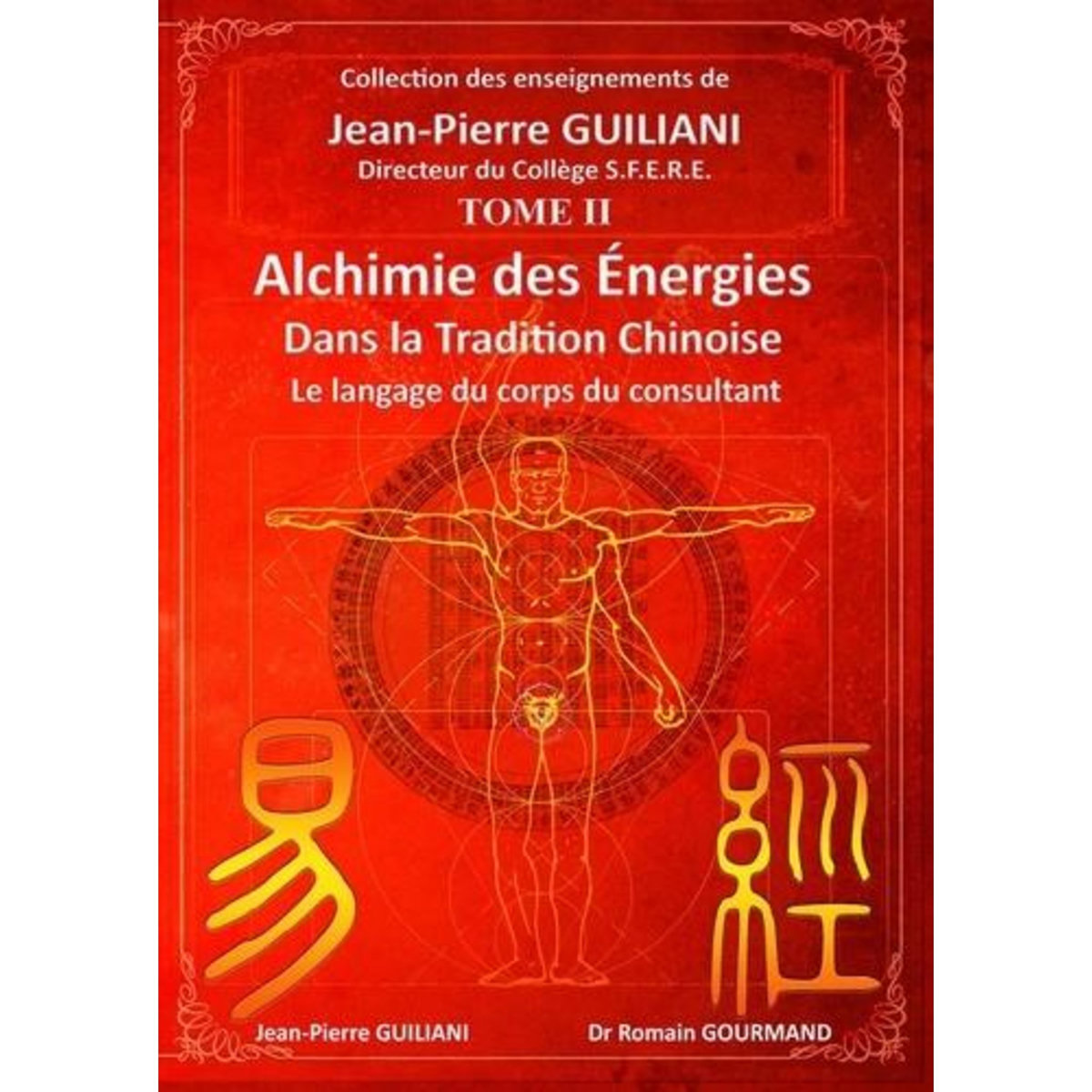 ALCHIMIE DES ENERGIES DANS LA TRADITION CHINOISE. TOME 2, LE LANGAGE DU CORPS DU CONSULTANT, Guiliani Jean-Pierre