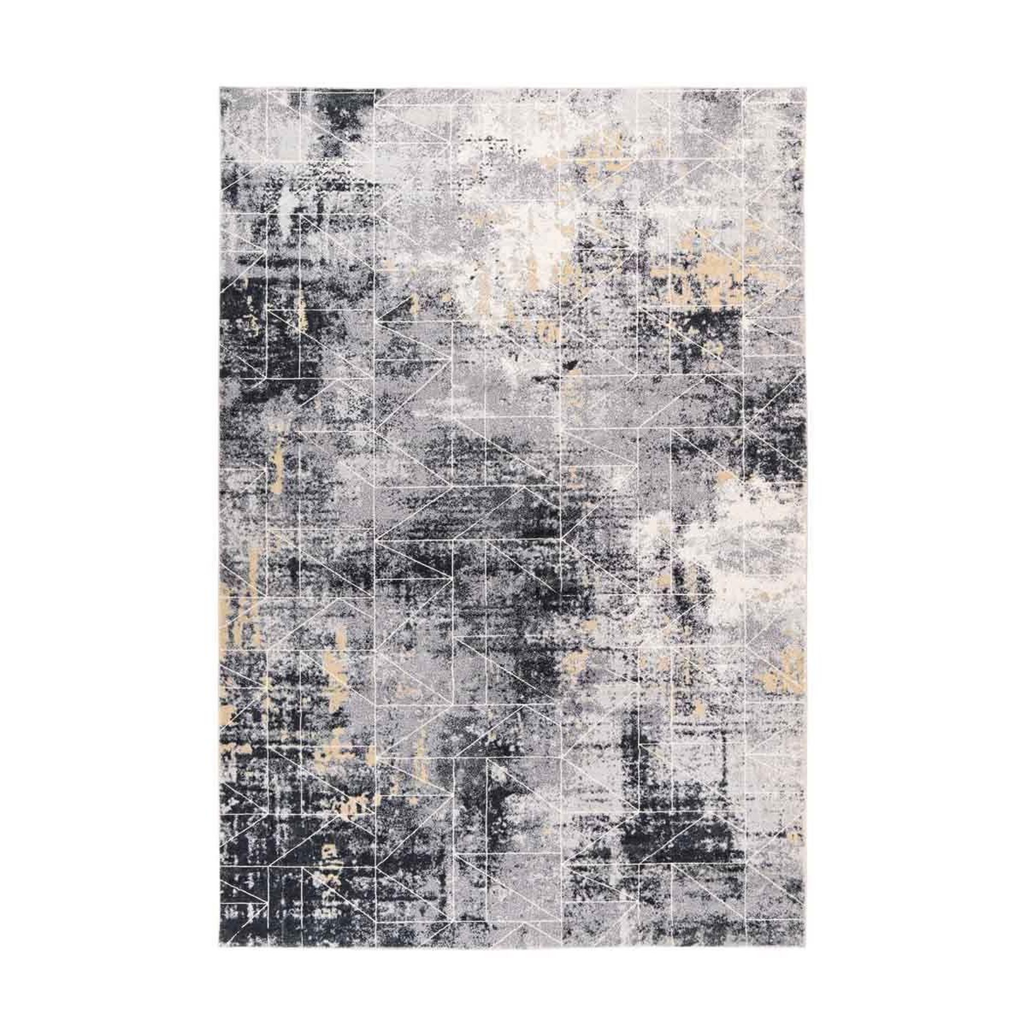 Voir la diapositive 1 : Paris Prix Tapis Tissé à Poils Courts Vintage  Ilian VII  Gris