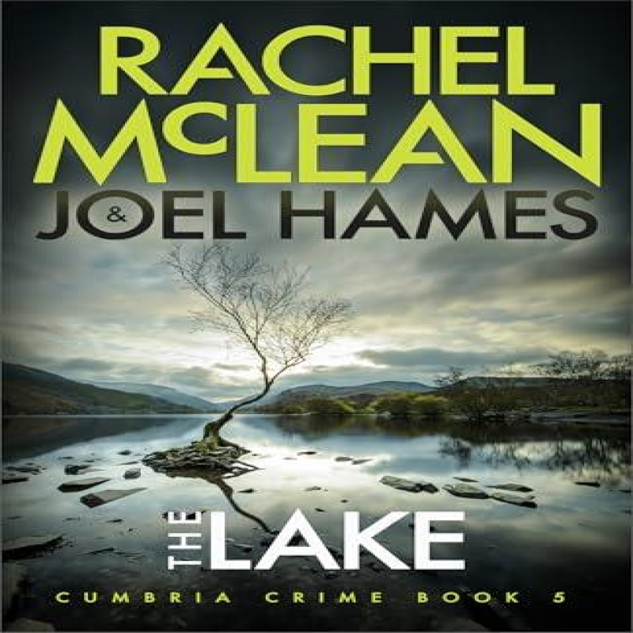 LIVRES The Lake - Joel Hames
