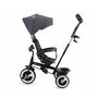 Voir la diapositive 3 : KINDERKRAFT Tricycle Aston bébé