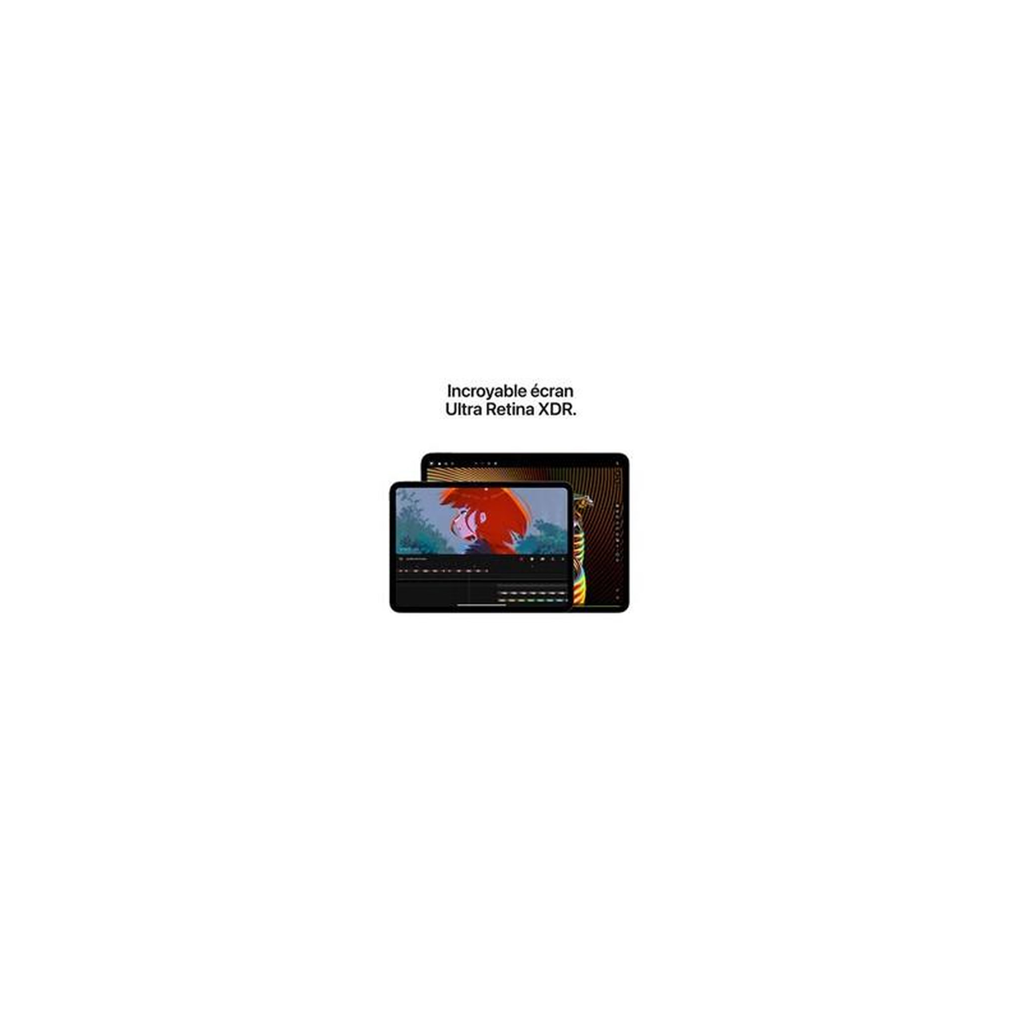 Voir la diapositive 4 : APPLE iPad Apple iPad Pro 11 Puce Apple M4 2 To Noir Sidéral Wi Fi Nano texture 7eme génération 2024