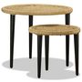 Voir la diapositive 2 : VIDAXL Table basse 2 pcs jute naturelle