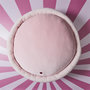 Voir la diapositive 5 : Paris Prix Peluche Enfant Macaron  Kawaii  70cm Rose