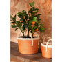Voir la diapositive 6 : Paris Prix Lot de 3 Paniers de Rangement  Issac  29cm Orange