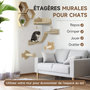 Voir la diapositive 4 : PAWHUT Arbre à chat mural - étagères murales chat - parcours mural 4 pièces - beige