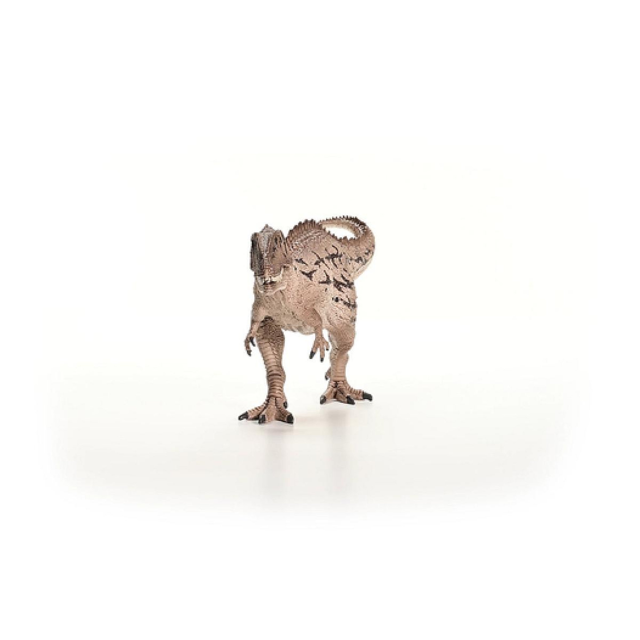 Voir la diapositive 5 : Schleich 15048 - Carcharodontosa