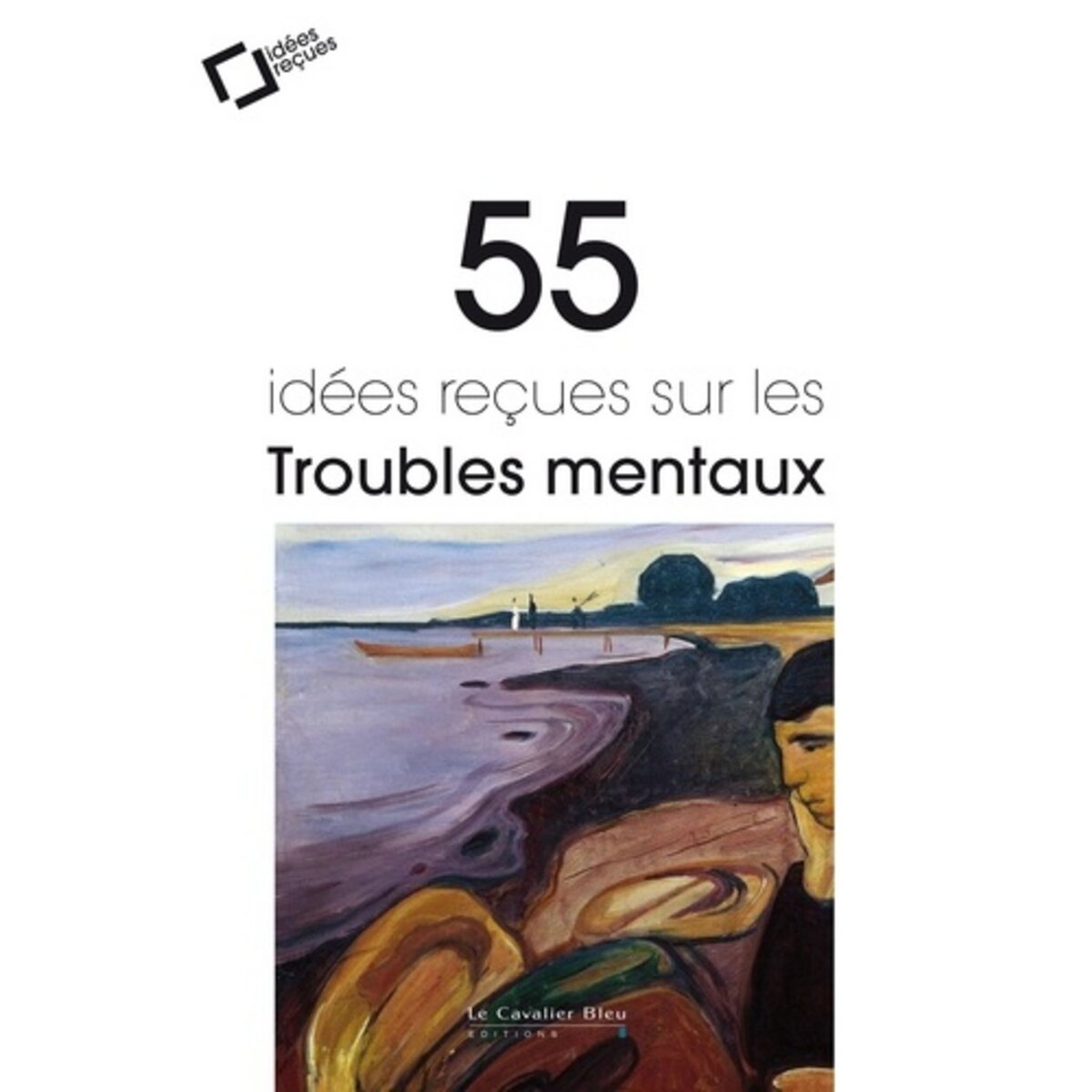  55 IDEES RECUES SUR LES TROUBLES MENTAUX. 3E EDITION REVUE ET AUGMENTEE, Delgenès Jean-Claude