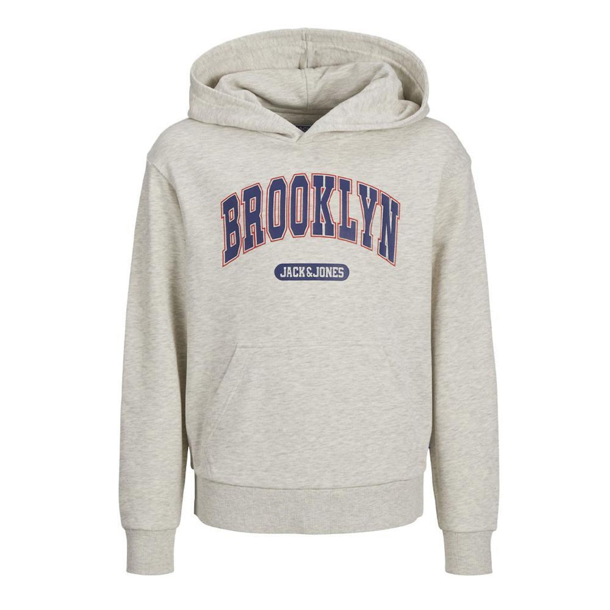 Jack & Jones Sweat Gris Garçon Jack & Jones Bradley