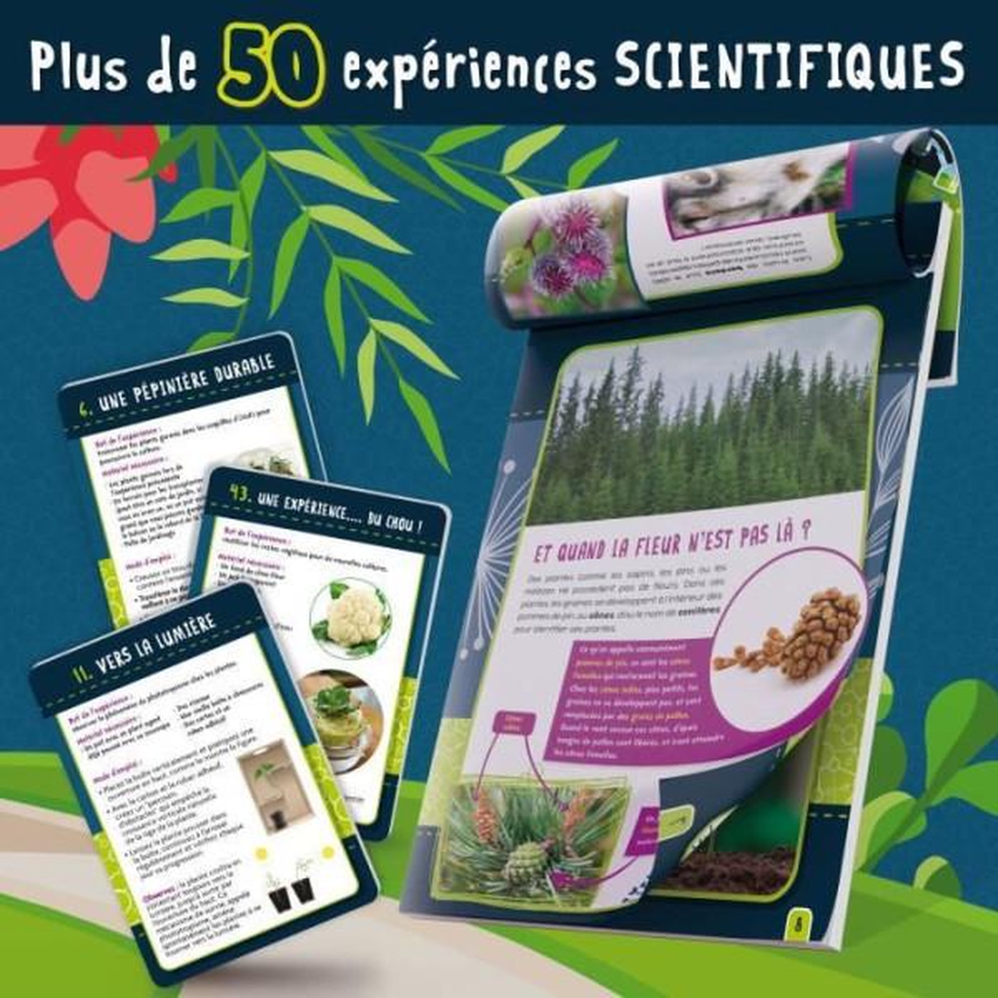 Voir la diapositive 4 : LISCIANI GIOCHI Génius Science - jeu scientifique - la botanique - LISCIANI