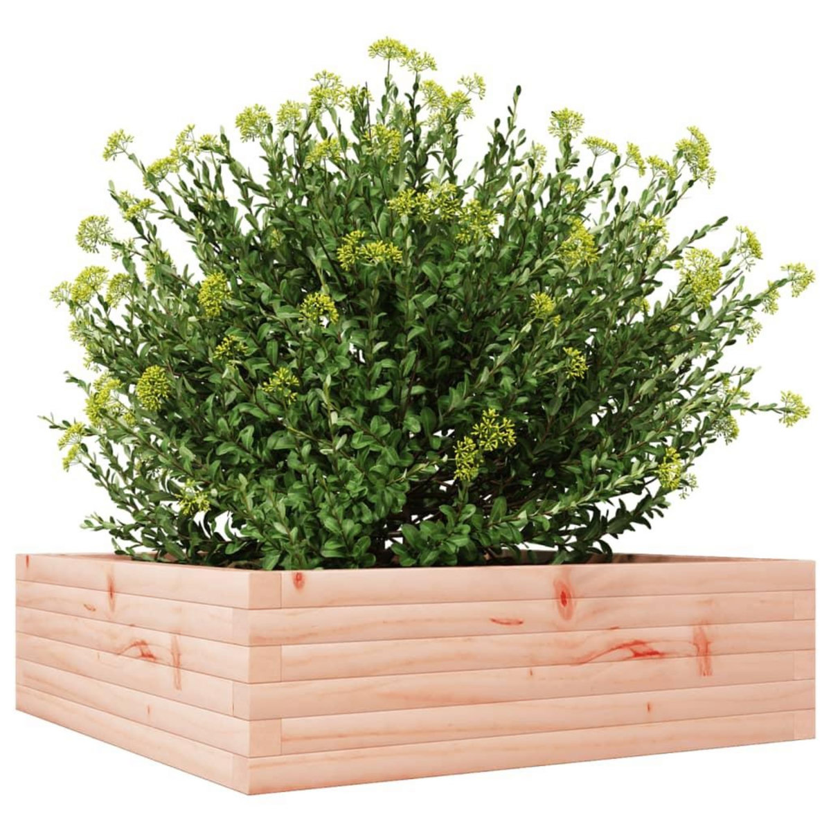 VIDAXL Jardiniere 80x80x23 cm bois massif de douglas