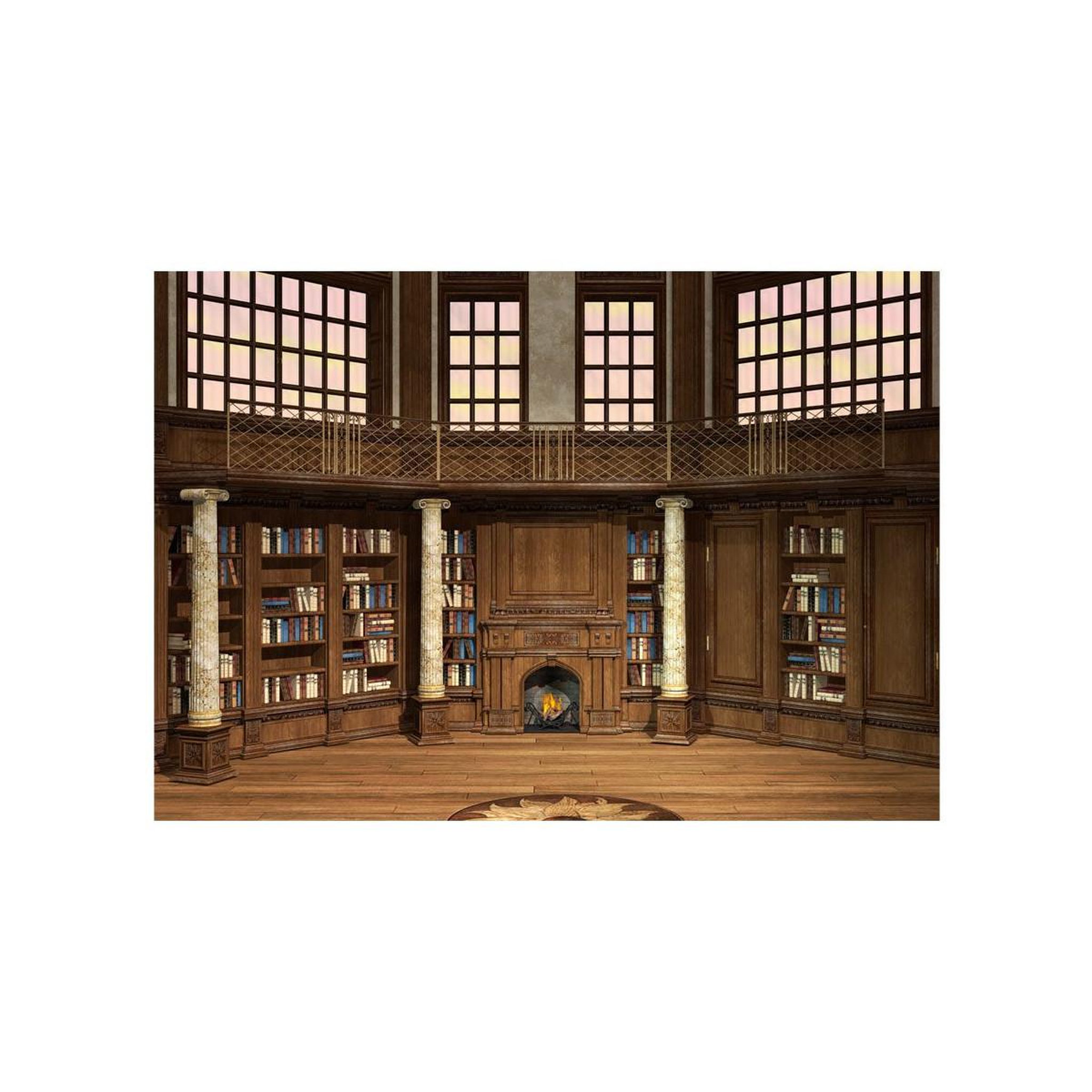 Voir la diapositive 2 : Paris Prix Papier Peint  Library of Dreams