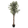 Voir la diapositive 1 : ATMOSPHERA Plante Artificielle  Ficus  180cm Vert