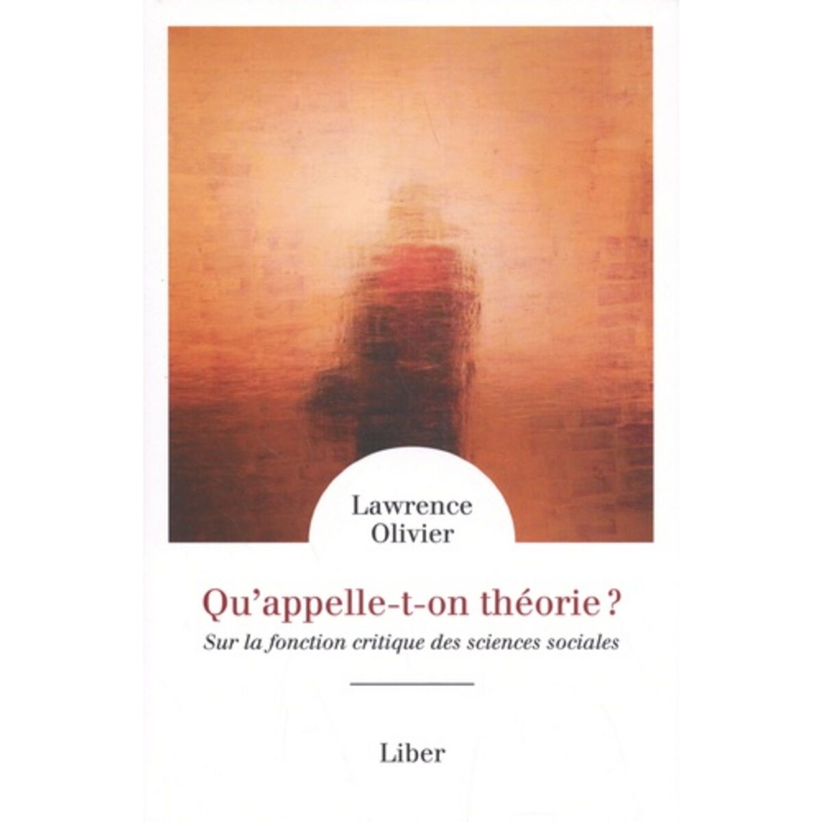  QU'APPELLE-T-ON THEORIE ? SUR LA FONCTION CRITIQUE DES SCIENCES SOCIALES, Olivier Lawrence