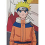 Voir la diapositive 3 : NARUTO Coussin double face - Carré - NARUTO - Naruto et ses amis - Microfibre - 40 x 40 cm
