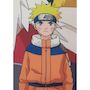 Voir la diapositive 3 : NARUTO Coussin double face - Carré - NARUTO - Naruto et ses amis - Microfibre - 40 x 40 cm