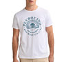 Voir la diapositive 1 : Petrol Industries T shirt  Homme Petrol Industries TSR127