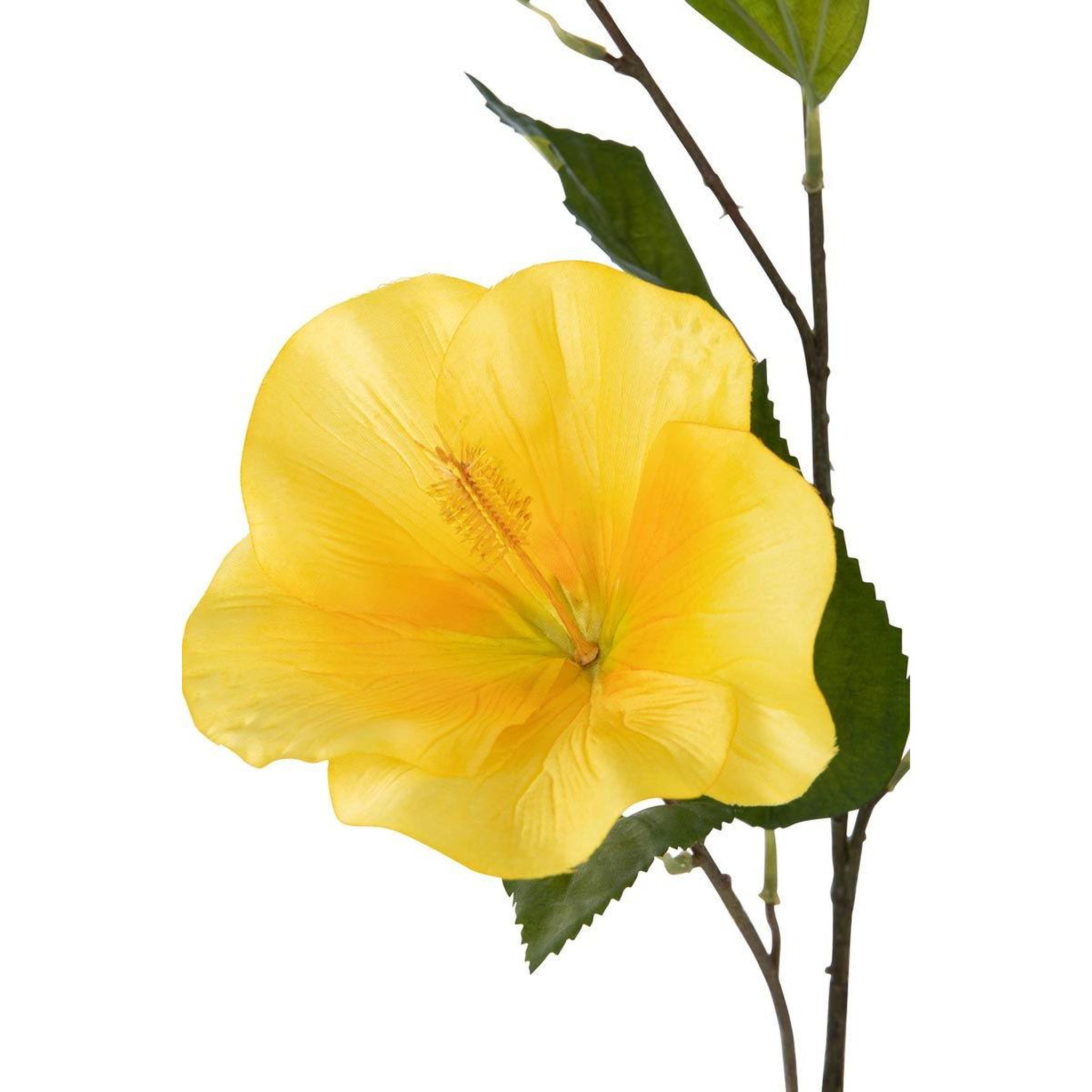 Voir la diapositive 2 : J-LINE Tige fleur artificielle  hibiscus  119cm jaune