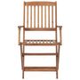 Voir la diapositive 5 : VIDAXL Chaises pliables d'exterieur et coussins lot de 8 Bois d'acacia