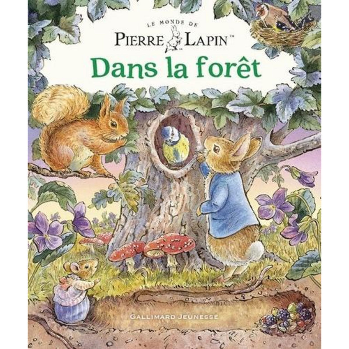 LE MONDE DE PIERRE LAPIN : DANS LA FORET, Potter Beatrix